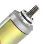 Anlasser für CF Moto X6/Z6/ZForce/Rancher Terralander 500 Starter