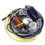 Alternator Ignition System for Bosch 80mm for Puch, Kreidler, Sachs, Zündapp, KTM