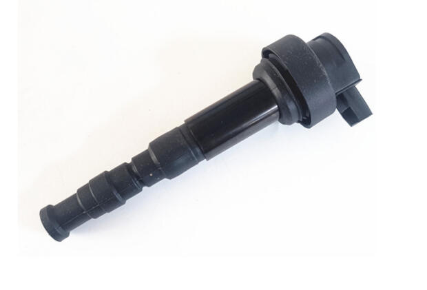 Zündspule für BMW F700GS/F800GS/F800GT/F800R/F800S/F800ST/F650GS