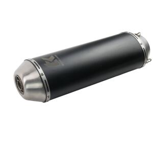 Échappement *****Yamaha MT-07***** dans le style carbone GP