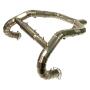 Exhaust Manifold for BMW R Nine T Titanium