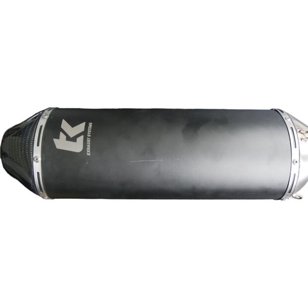 Auspuff Honda Africa Twin XRV 650 mit ABE Carbon Endtopf Auspuffanlage