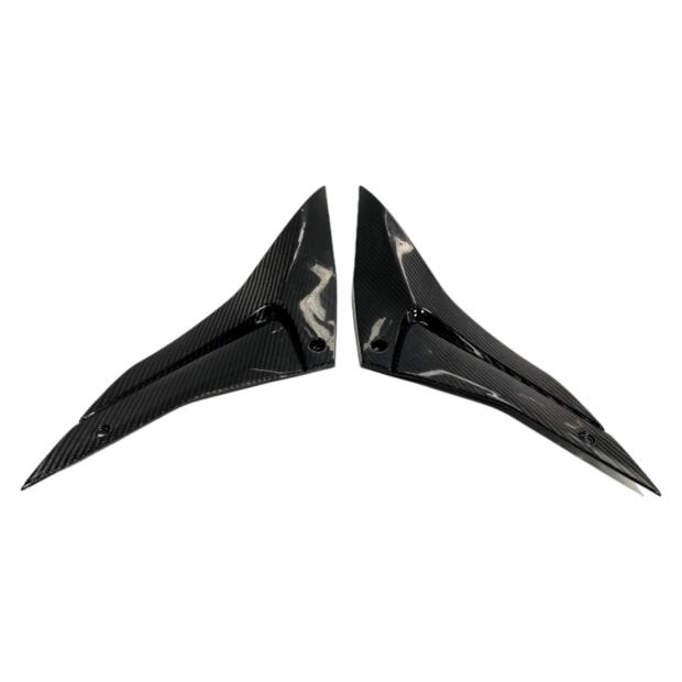 Carbon Tank Seitenteile  für Aprilia Tuono RSV4 1000 21-