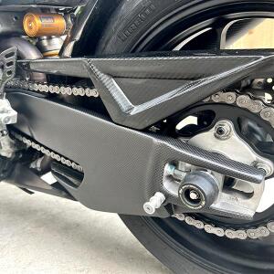 Carbon Schwingenschoner für Aprilia Tuono RSV4 1000 21-
