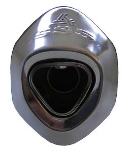 Auspuff Honda TRX 400