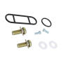 Benzinhahn Reparatursatz für Yamaha XT-Z Tenere 600 86-87
