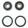 Radlagersatz vorne für Suzuki GZ250 TU250 GSX GS VS GN GT 73–19