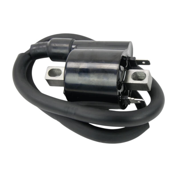 Zündspule für Yamaha YFM 700 550 Grizzly Raptor 06-14