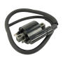 Zündspule für Yamaha YFM 700 550 Grizzly Raptor 06-14