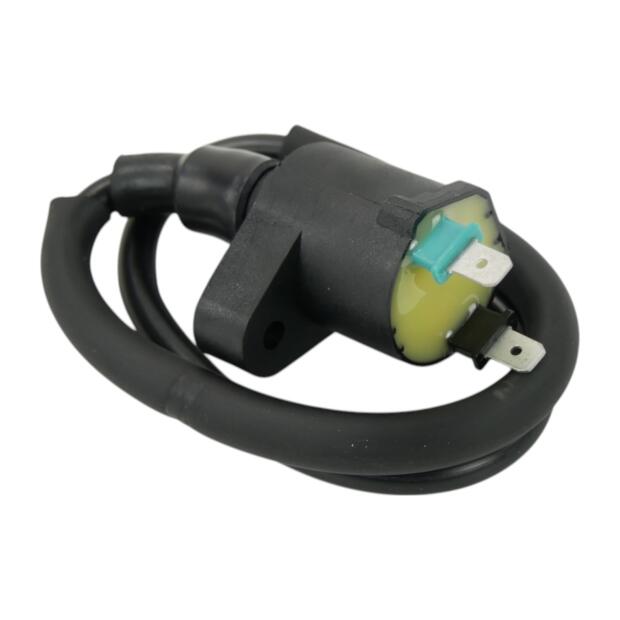 Zündspule für Polaris Phoenix RZR Sawtooth Outlaw Sportsman 05–24