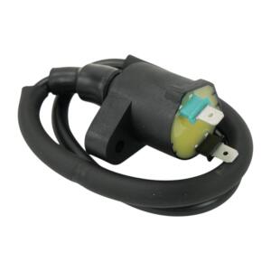 Zündspule für Polaris Phoenix RZR Sawtooth Outlaw Sportsman 05–24