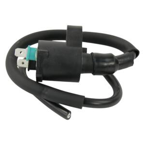 Zündspule für Polaris Phoenix RZR Sawtooth Outlaw Sportsman 05–24