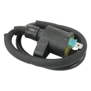 Zündspule für Polaris Phoenix RZR Sawtooth Outlaw Sportsman 05–24