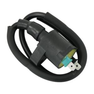 Zündspule für Polaris Phoenix RZR Sawtooth Outlaw Sportsman 05–24