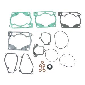 Topend Motor Dichtungssatz für Beta RR 2T 250 300 13–24