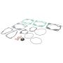 Topend Motor Dichtungssatz für Beta RR 2T 250 300 13–24