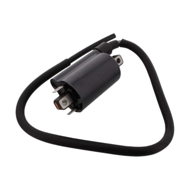 Zündspule für Ducati Moto Guzzi Suzuki 12V/4,0 OHM