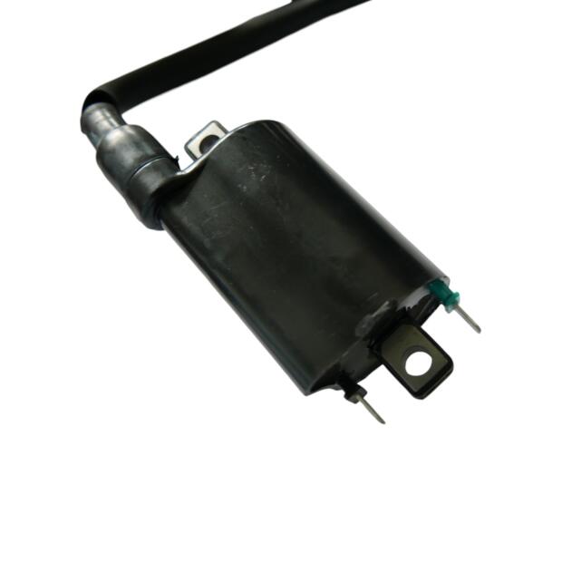 Zündspule für Ducati Aprillia Gilera Cagiva 12V / 4,0 Ohm