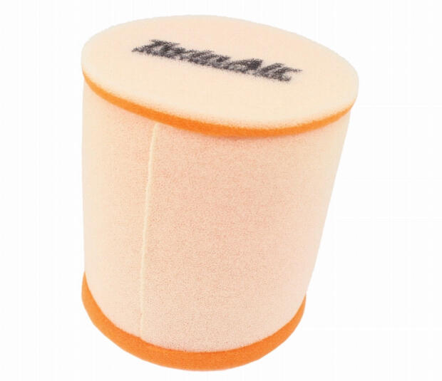 Twin Air Luftfilter für Aprilia RC 50