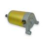 Anlasser für Kreidler Street 125 DD Qingqi-2 QM125 Sachs Roadster