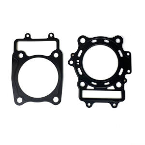 Dichtungssatz für Explorer & CFMoto 500 &...