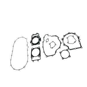 Dichtungssatz für CFMoto 500 & Goes G 520 & Explorer Atlas 500