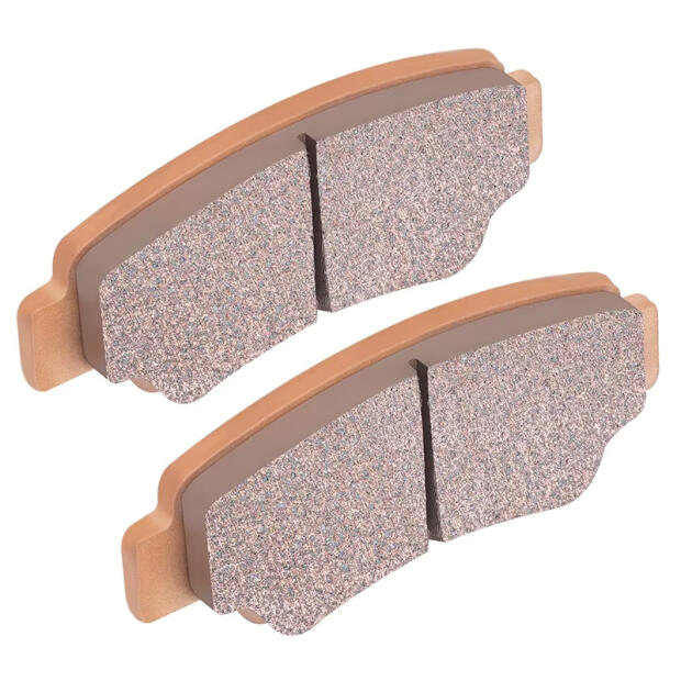 Bremsbeläge für Varaneo-Samsa / ARI Motors 458 hinten Sintermetall