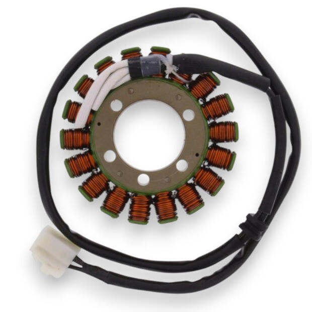 Lichtmaschine für Triumph Daytona Masterblaster Speed Triple Sprint Tiger 955 Stator