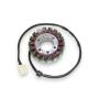 Lichtmaschine für Triumph Daytona Masterblaster Speed Triple Sprint Tiger 955 Stator