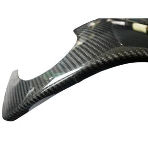 Carbon Rahmenschoner für Aprilia Tuono RSV4 1000 21- B-Ware