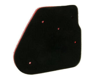 Luftfilter für Aeon Cobra 50-100 Revo 50-100...