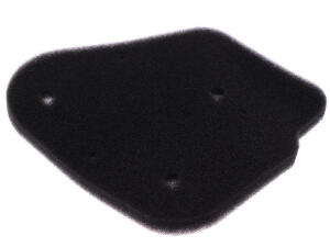 Luftfilter für Aeon Cobra 50-100 Revo 50-100...