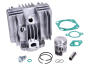 Cylinder Schmitt 50ccm Mofa 25km/h for Sachs 504, 505, Hercules Prima