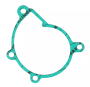 Water Pump Gasket Yamaha YZF-R6 600 OEM Fit