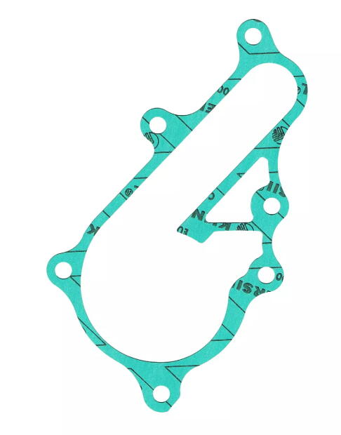 Wasserpumpe Dichtung für Yamaha YFM 700 R 2006-2024