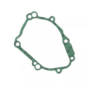 Lichtmaschine Dichtung Yamaha FZ1 1000 FZ8 800 YZF-R1 FZ 1