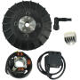 Alternator kit contactless for PK for Vespa 50-125/PV/ET3/PK50-125/S 19mm