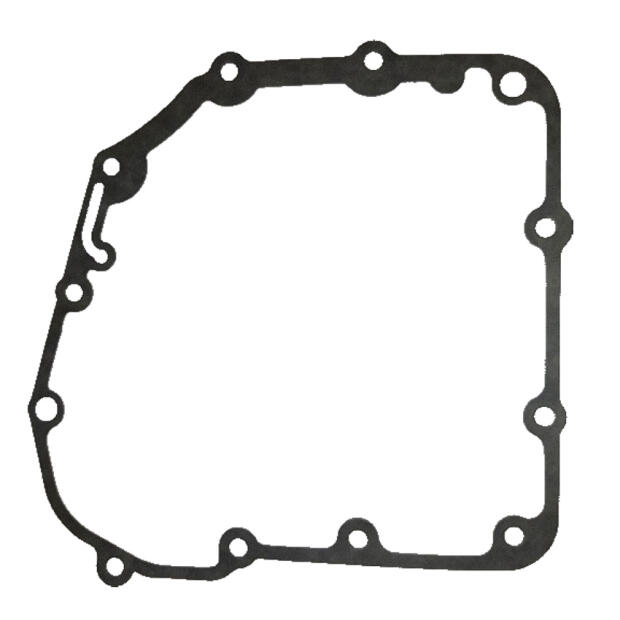 Dichtung Lichtmaschine Triton Baja Outback Access SP 250 300 400 Max Tomahawk
