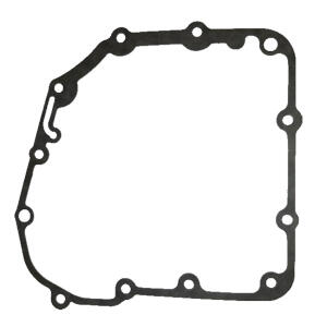 Dichtung Lichtmaschine Triton Baja Outback Access SP 250...