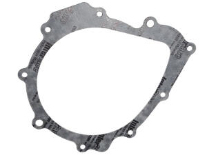 Dichtung Lichtmaschine Access AMS 4.38 / Triton Reactor...