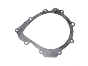 Dichtung Lichtmaschine Access AMS 4.38 / Triton Reactor...