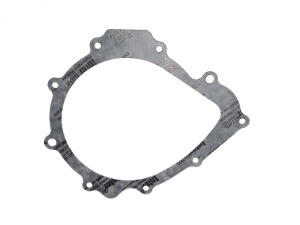 Gasket stator Access AMS 4.38 / Triton Reactor 450 / SP450 / Warrior 450