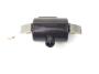 Ignition coil 6V 17W 80mm Bosch Puch, Kreidler, Sachs, Zündapp, KTM