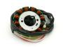 Lichtmaschine Stator Yamaha WR 450 (03-11)