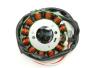 Lichtmaschine Stator Yamaha WR 450 (03-11)