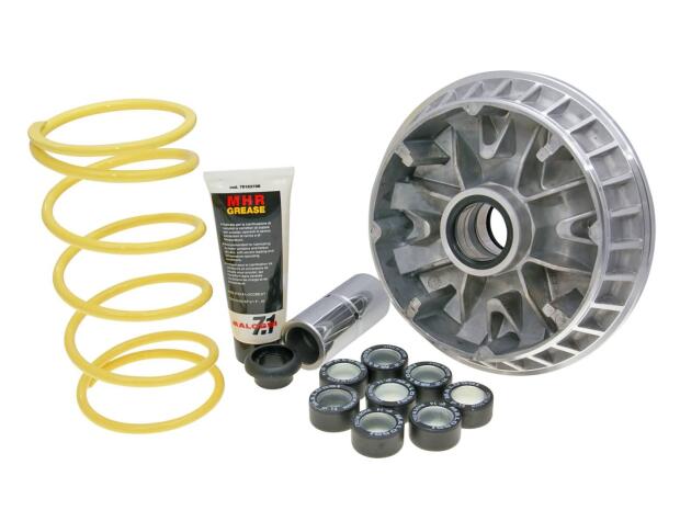 Variomatik für Suzuki Burgmann AN 400