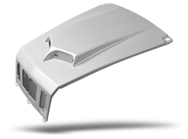 RZR 800 Kotflügel vorne carbon weiss