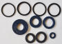 Engine Oil Seals Kit Dinli Masai Sachs T-Rex Helix DL Dino 50 engine