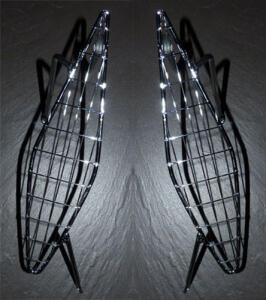 Raptor YFM 660R light protector