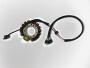 Lichtmaschine Stator Yamaha YFM350 Warrior 90-95